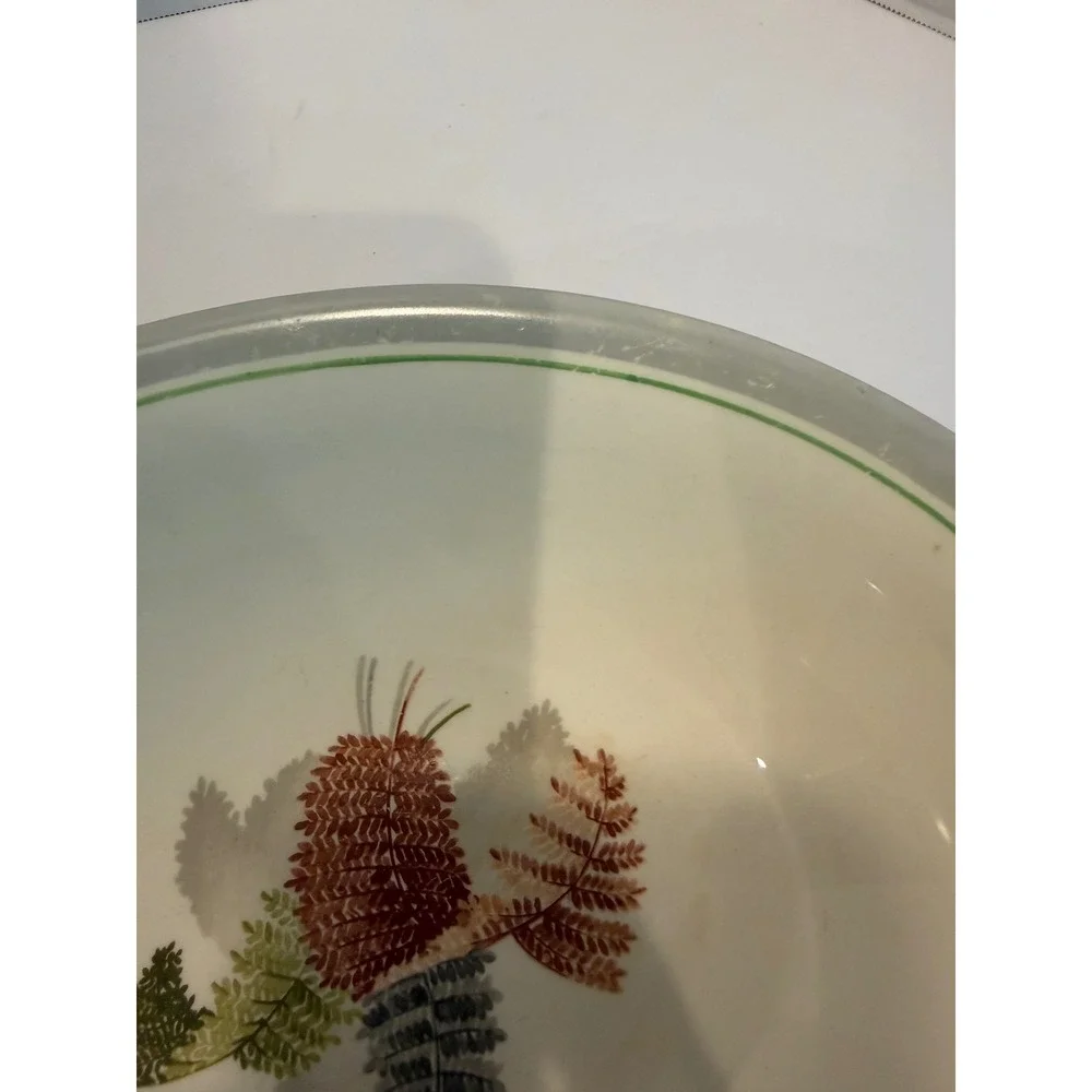 Vtg Steubenville Fern 2 Serving Dish/Vegetable Oval bowls 9